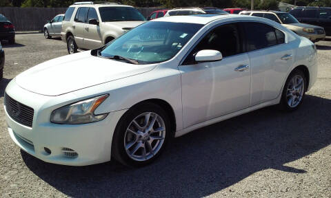 2014 Nissan Maxima for sale at Pinellas Auto Brokers in Saint Petersburg FL