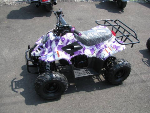 2022 QIYE COOLSTER 110 for sale at Johnson Used Cars Inc. in Dublin GA