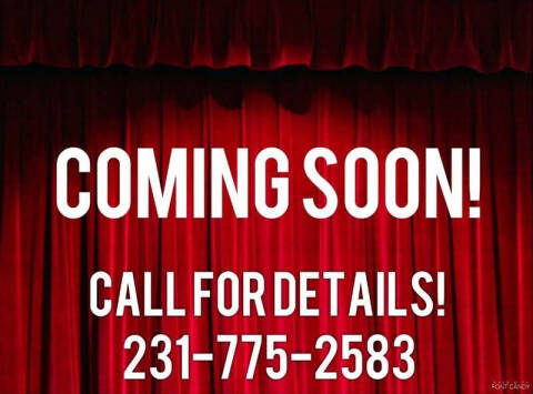 2020 Chevrolet Silverado 1500 for sale at DON'S ADOPT A CAR in Cadillac MI