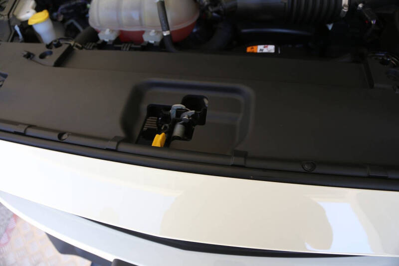 2015 Ford Mustang GT 50 Years Limited Edition