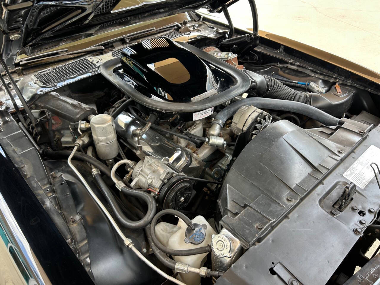 1976 Pontiac Firebird 38