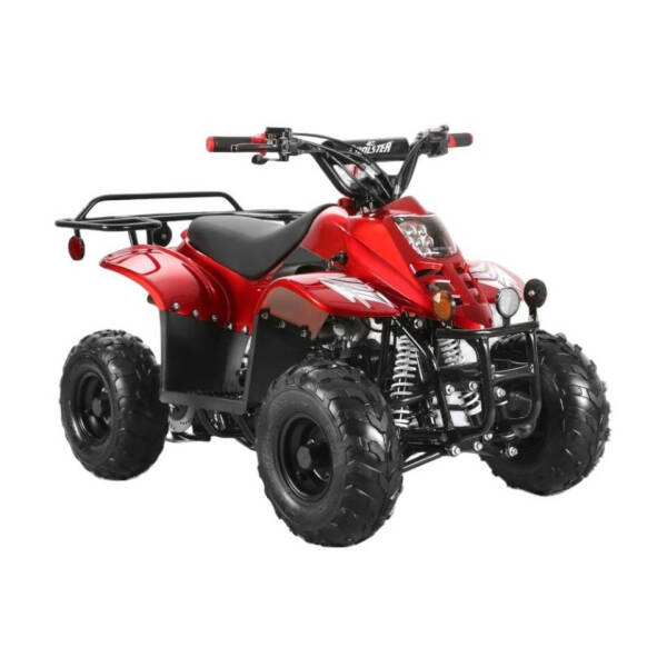 2025 Coolster 110cc 3050c