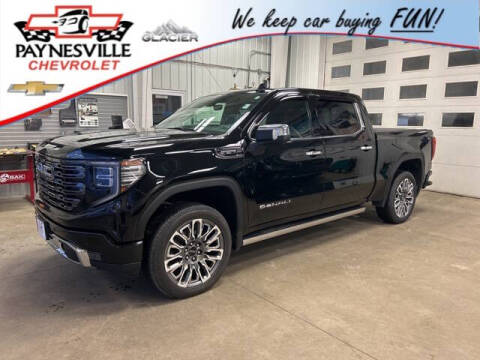2023 GMC Sierra 1500 for sale at Paynesville Chevrolet in Paynesville MN