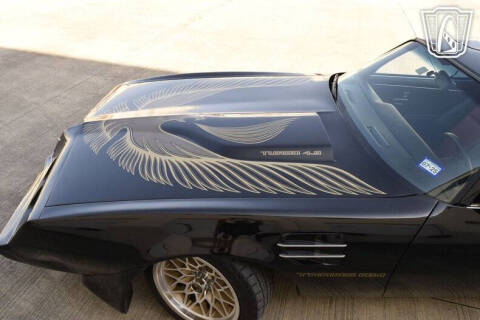 1981 Pontiac Firebird Trans Am