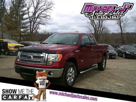 2013 Ford F-150 for sale at MICHAEL J'S AUTO SALES in Cleves OH
