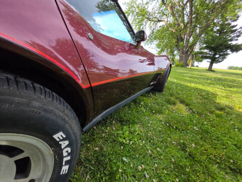 1981 Chevrolet Corvette