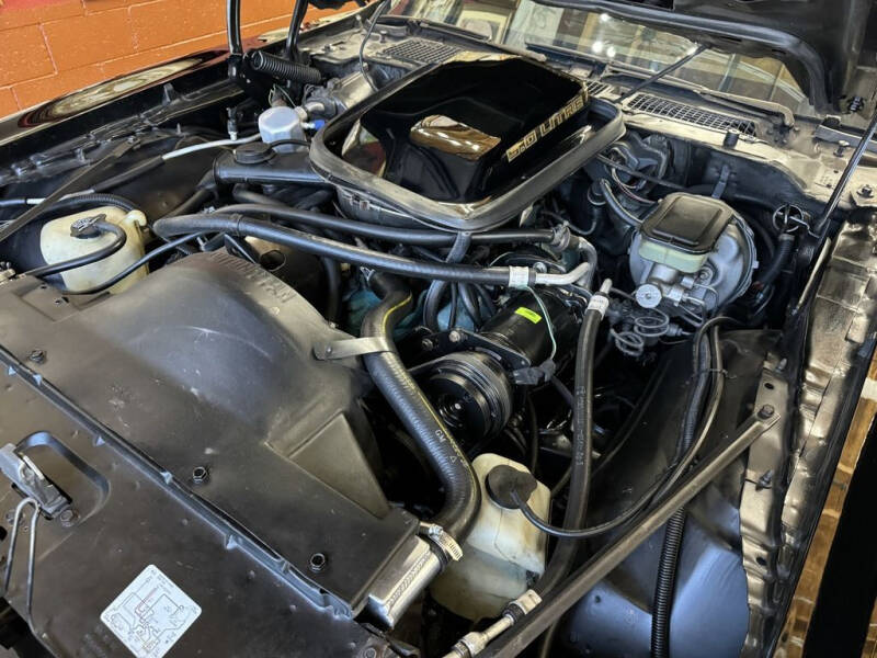 1981 Pontiac Firebird Trans Am