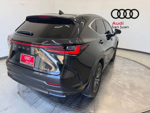 2024 Lexus NX 250 Premium