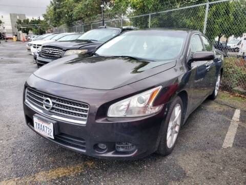 2011 Nissan Maxima for sale at SoCal Auto Auction in Ontario CA