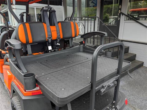 2024 Bintelli BEYOND 6PR LITHIUM 105-AH