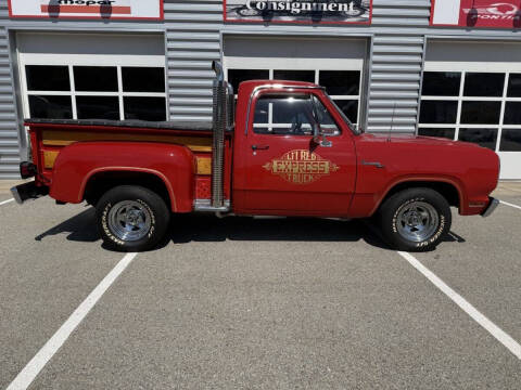 1979 Dodge D150 Pickup