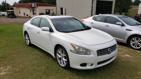 2010 Nissan Maxima for sale at Lakeview Auto Sales LLC in Sycamore GA