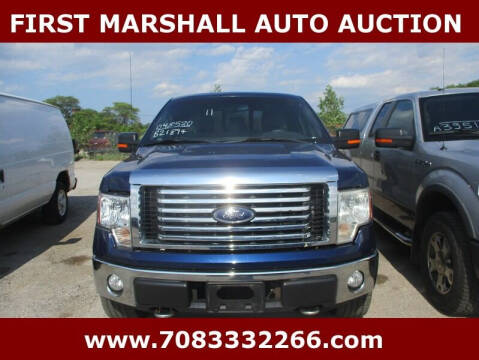 2011 Ford F-150 for sale at First Marshall Auto Auction in Harvey IL
