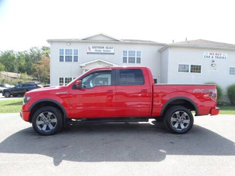 2013 Ford F-150 for sale at SOUTHERN SELECT AUTO SALES in Medina OH