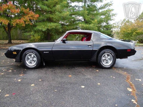 1981 Pontiac Firebird