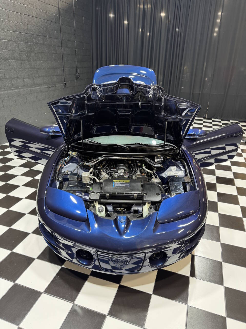 2002 Pontiac Firebird Trans Am 93