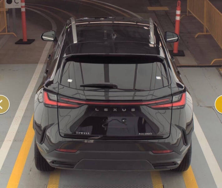 2025 Lexus NX 250 Premium