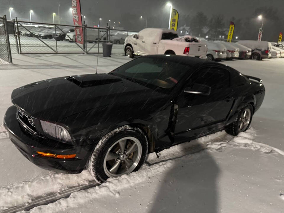 2008 Ford Mustang Deluxe's photo