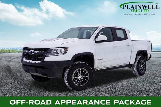 2019 Chevrolet Colorado for sale at Zeigler Ford of Plainwell in Plainwell MI