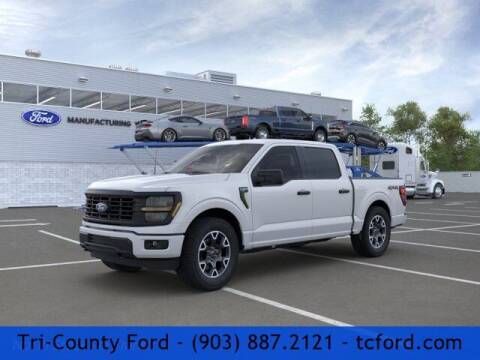 2024 Ford F-150 for sale at TRI-COUNTY FORD in Mabank TX