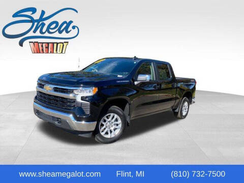 2022 Chevrolet Silverado 1500 for sale at Bankruptcy Auto Loans Now in Flint MI