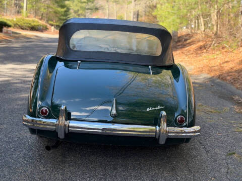 1953 Austin-Healey 100-4