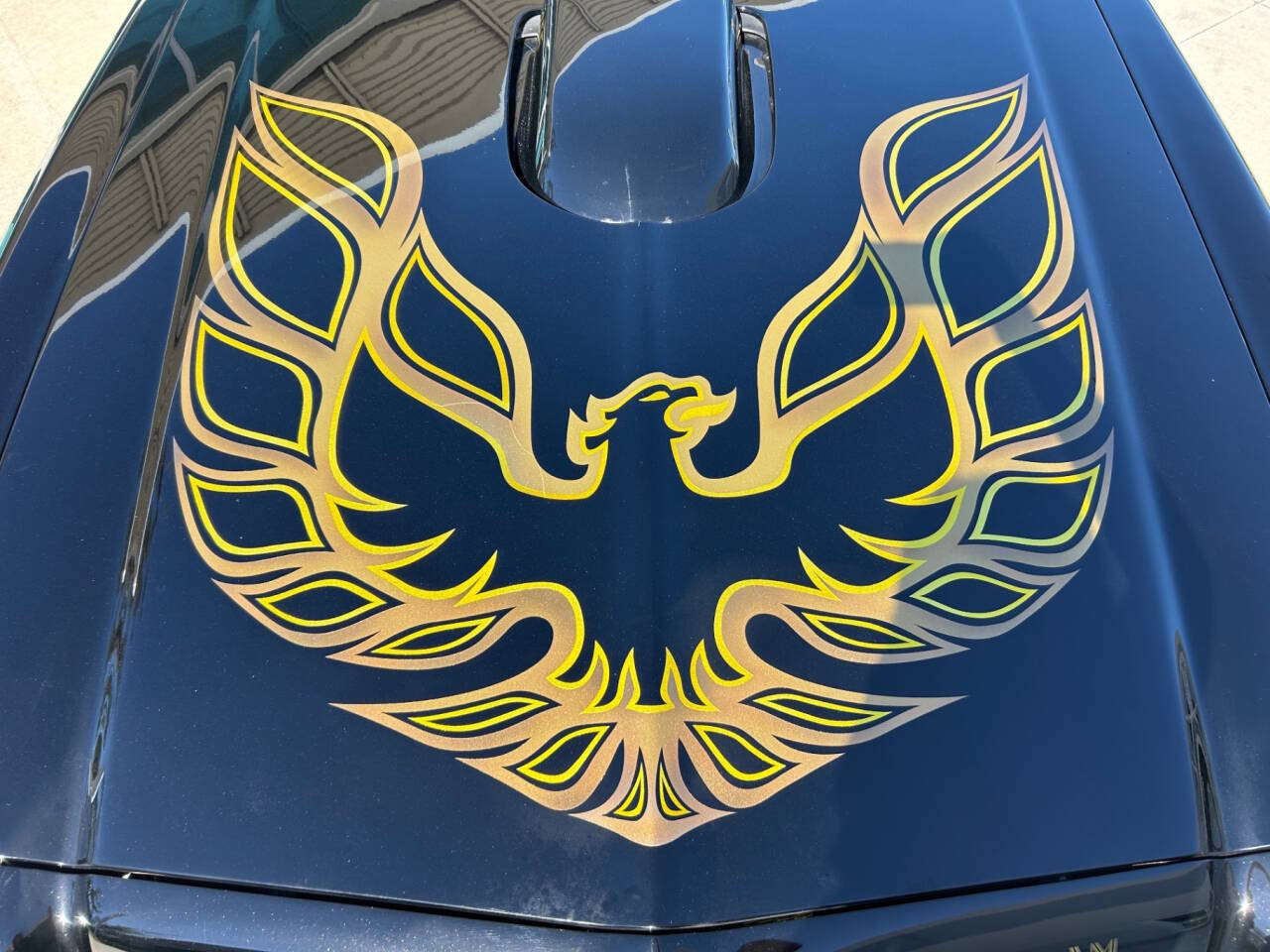 1976 Pontiac Firebird 16