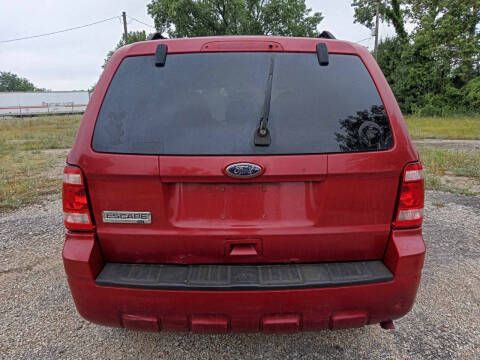2010 Ford Escape XLT