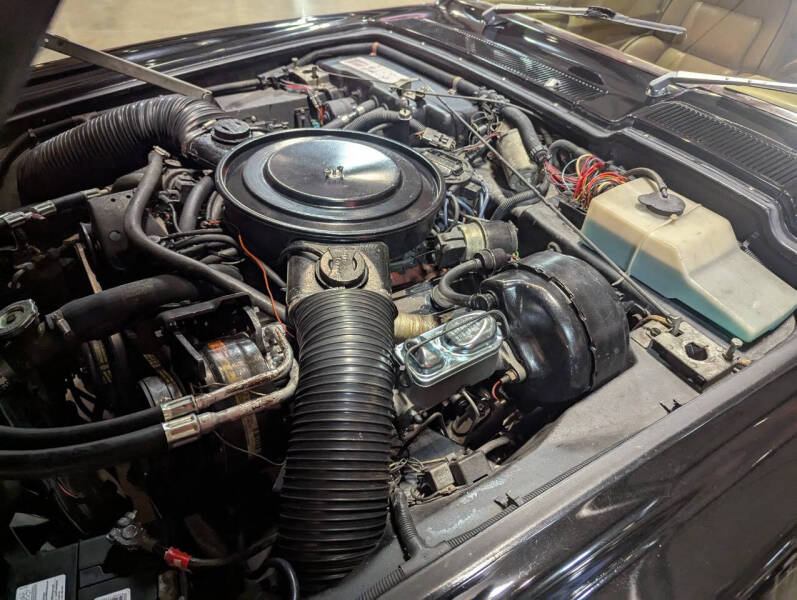 1984 Avanti II