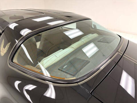 1981 Pontiac Firebird Trans Am