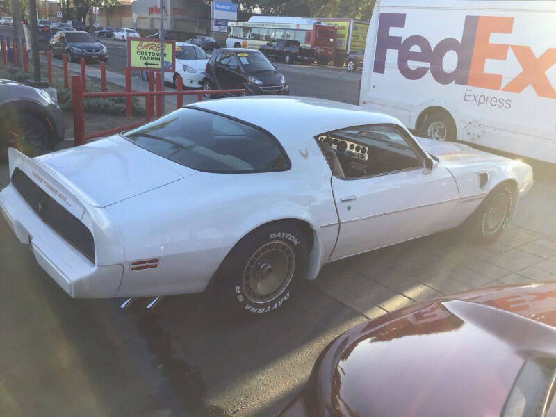 1981 Pontiac Firebird Trans Am