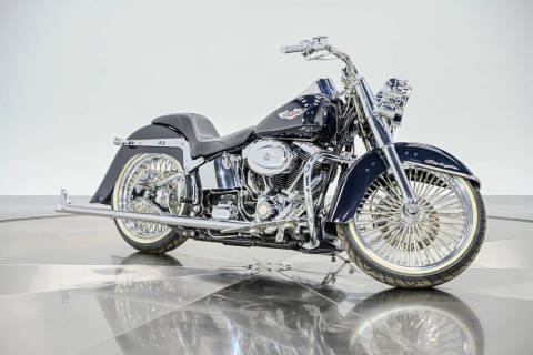 2009 Harley-Davidson FLTSN