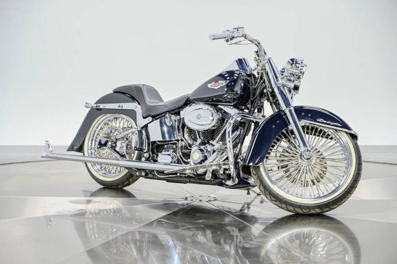 2009 Harley-Davidson FLTSN