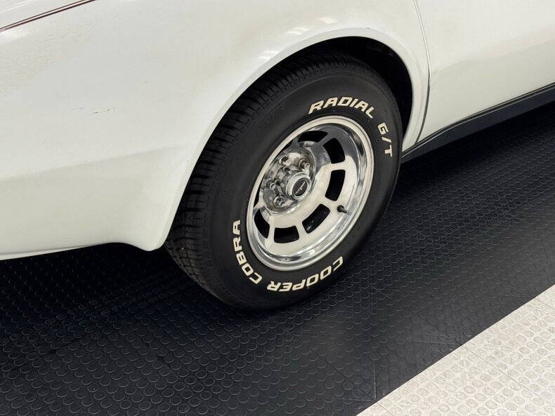 1981 Chevrolet Corvette