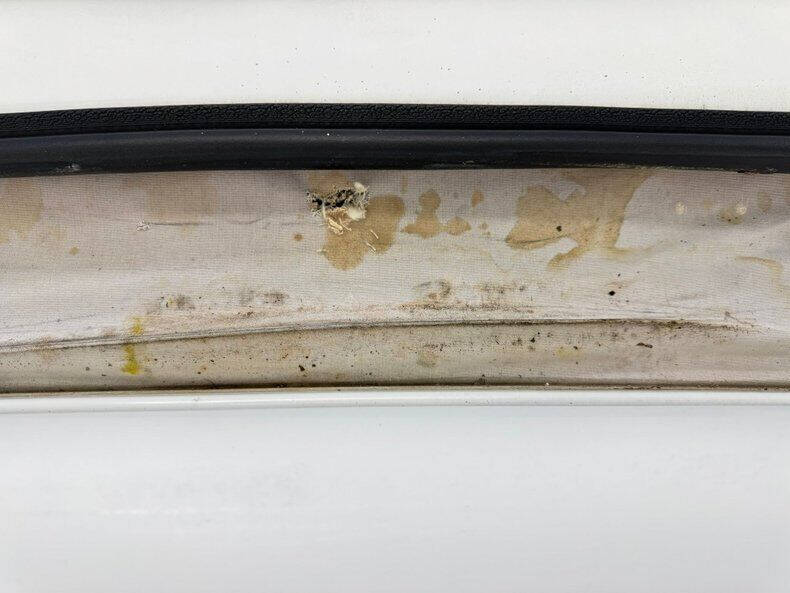 1995 Volkswagen EuroVan Campmobile