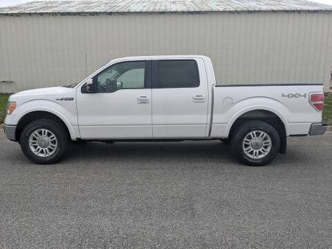 2011 Ford F-150 for sale at TNK Autos in Inman KS