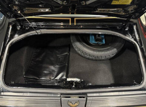 1981 Pontiac Firebird Trans Am