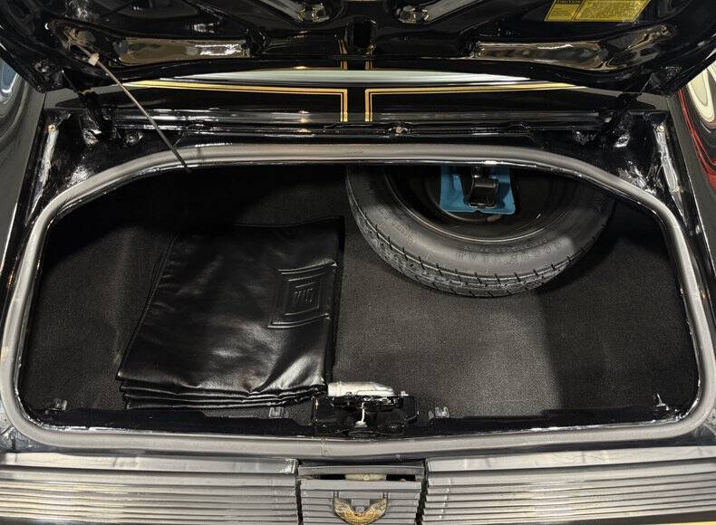 1981 Pontiac Firebird Trans Am