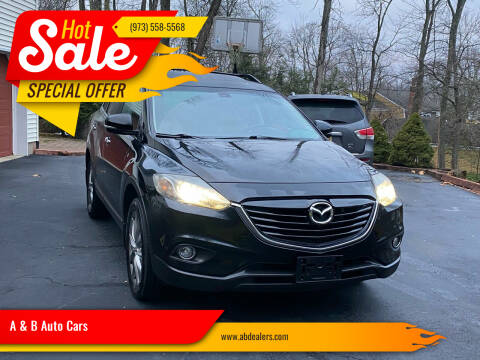 2014 Mazda CX-9 for sale at A & B Auto Cars in Newark NJ