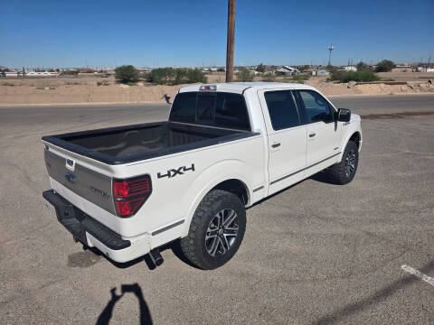 2013 Ford F-150 Platinum