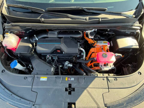 2025 Kia Carnival Hybrid SX