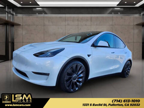 2022 Tesla Model Y Performance Photo