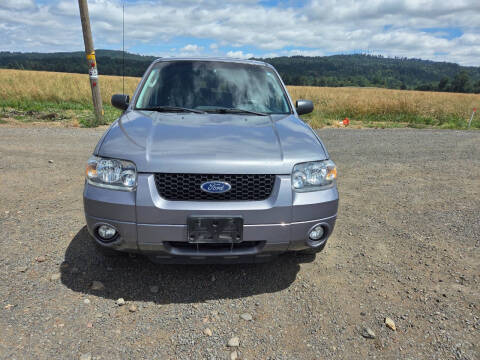 2007 Ford Escape XLT