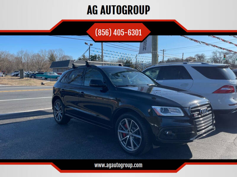 2016 Audi SQ5 for sale at AG AUTOGROUP in Vineland NJ