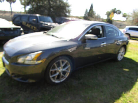 2011 Nissan Maxima for sale at AUTO EXPRESS ENTERPRISES INC in Orlando FL