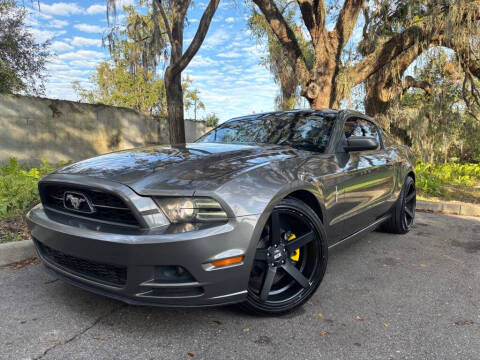 2014 Ford Mustang for sale at Hillsborough Auto Sales in Tampa FL