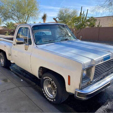 1979 Chevrolet C/K 10 Series for sale at Classic Car Deals in Cadillac MI