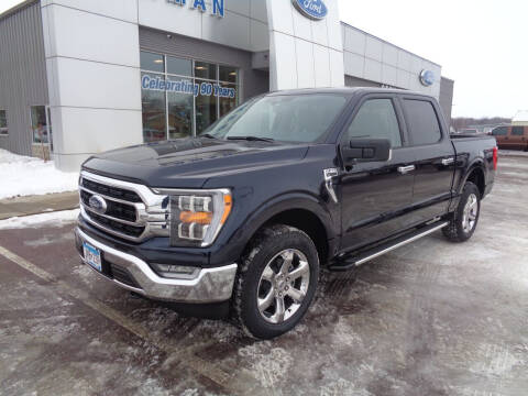 2022 Ford F-150 for sale at Herman Motors in Luverne MN