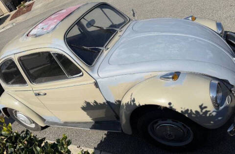 1967 Volkswagen Beetle