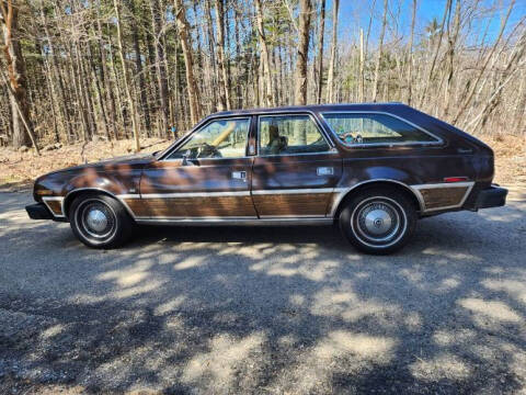 1979 AMC Concord for sale at Classic Car Deals in Cadillac MI